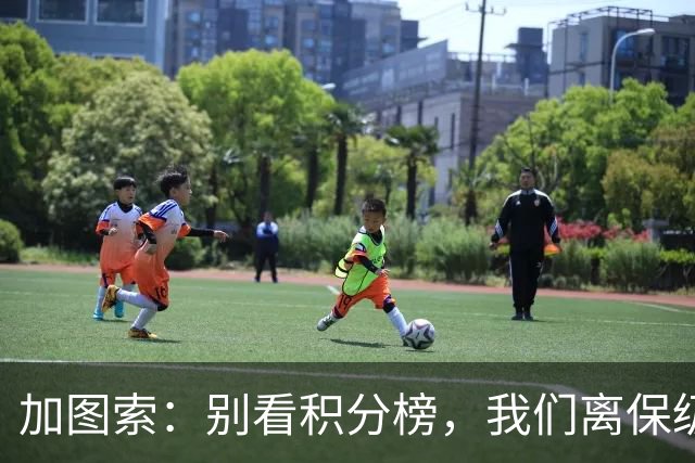 加图索：别看积分榜，我们离保级还差15分