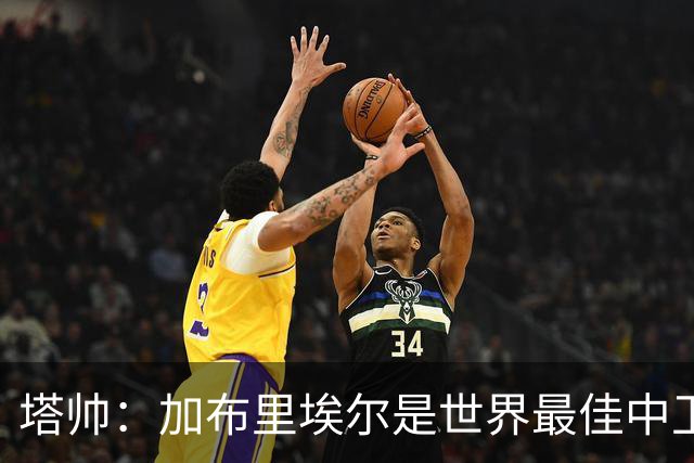 塔帅：加布里埃尔是世界最佳中卫之一，他在两个禁区的作用太强了