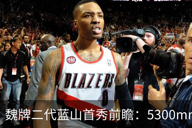 魏牌二代蓝山首秀前瞻：5300mm的方盒子、装了一套2.0T四挡混动